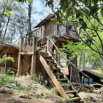 Altaris Bungalows Olympos Hostel *