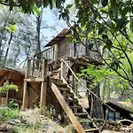 Altaris Bungalows Olympos Kumluca
