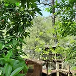 Altaris Bungalows Olympos Hostel *