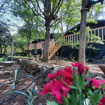 Altaris Bungalows Olympos Hostel Kumluca