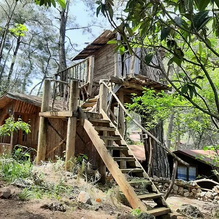 Altaris Bungalows Olympos Hostel *