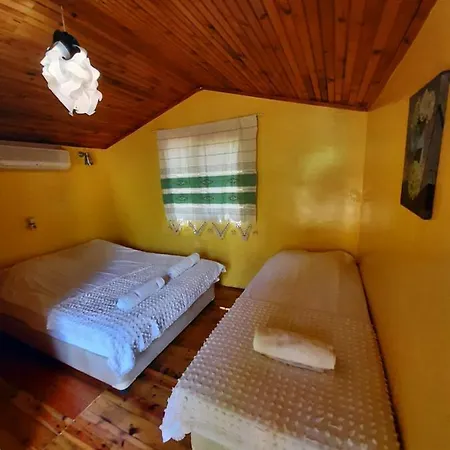 Altaris Bungalows Olympos Hostel