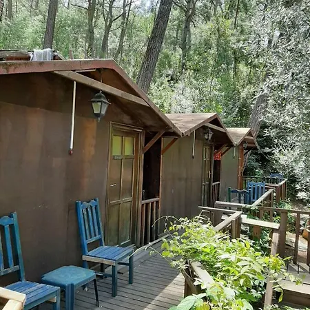 Altaris Bungalows Olympos * Kumluca