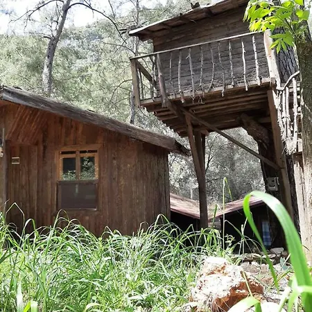 Altaris Bungalows Olympos Hostel