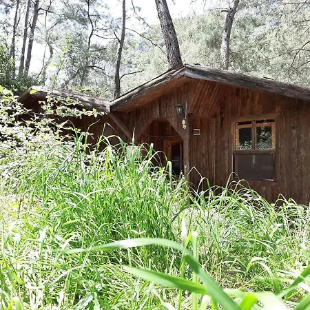 Altaris Bungalows Olympos *