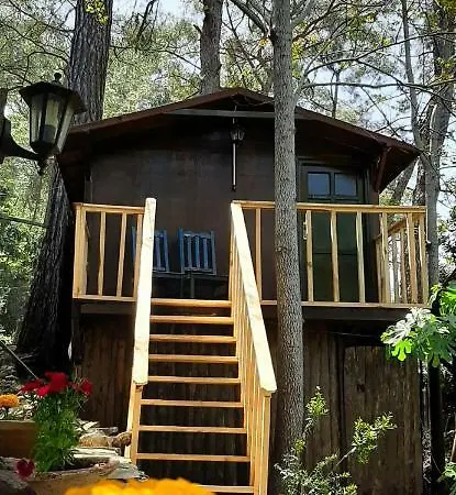 Altaris Bungalows Olympos Hostel