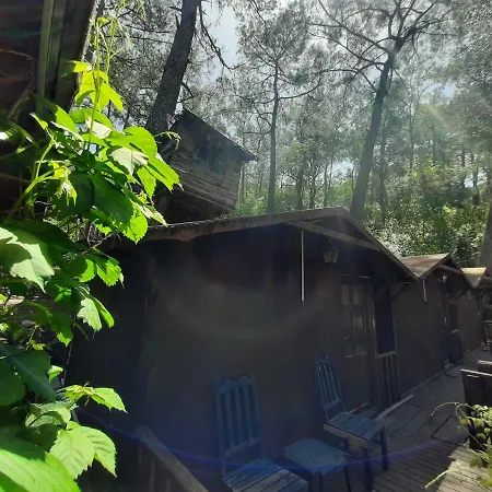 Hostel Altaris Bungalows Olympos *