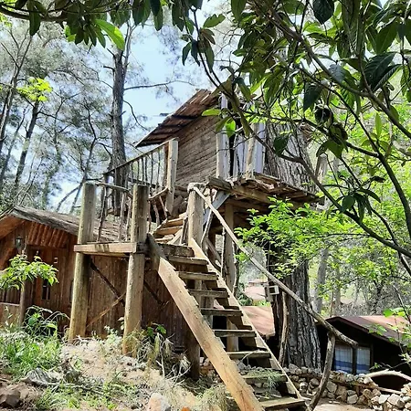 Altaris Bungalows Olympos Kumluca