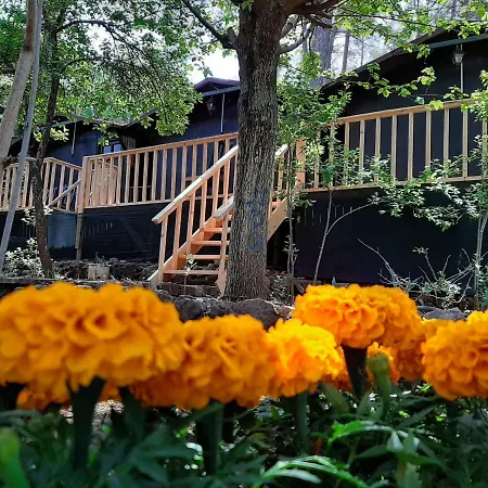 Altaris Bungalows Olympos *