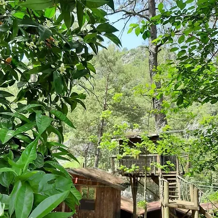 Altaris Bungalows Olympos Hostel *