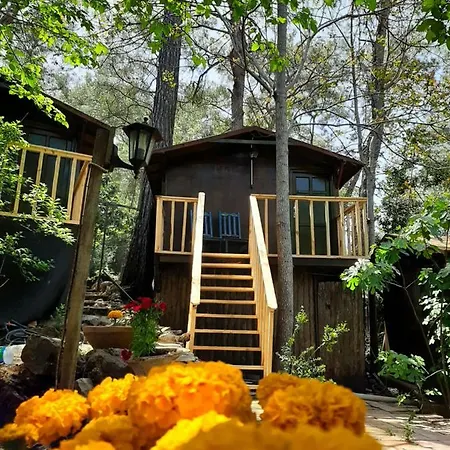 Altaris Bungalows Olympos Hostel Kumluca