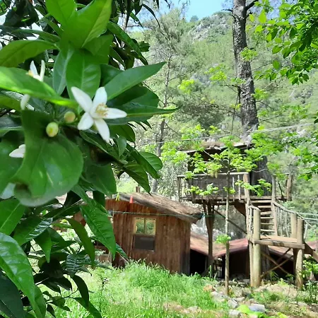 Hostel Altaris Bungalows Olympos